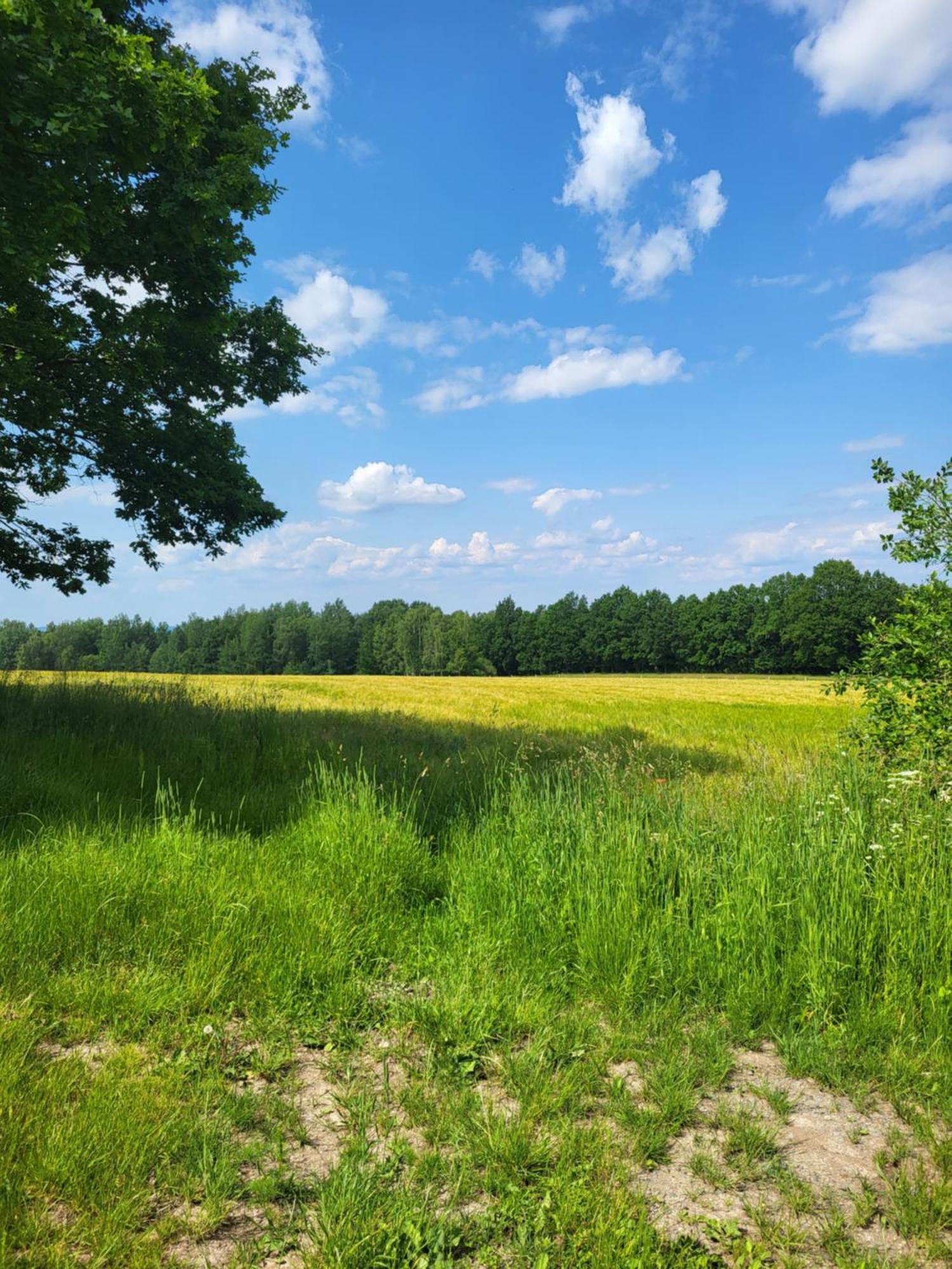 Agroturystyka Nad Strumykiem Leśna 外观 照片